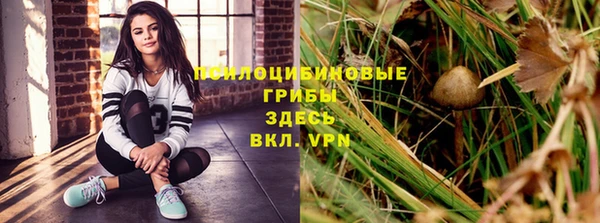 2c-b Верея
